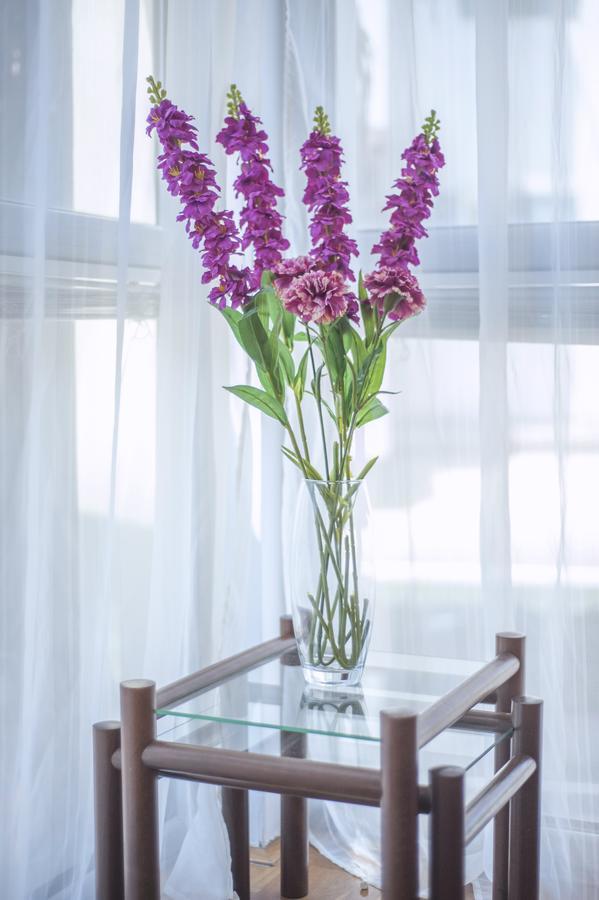 בודווה Dobrljanin Lux Apartment מראה חיצוני תמונה